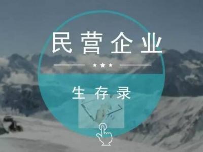 晨光智慧：民營企業(yè)生存錄